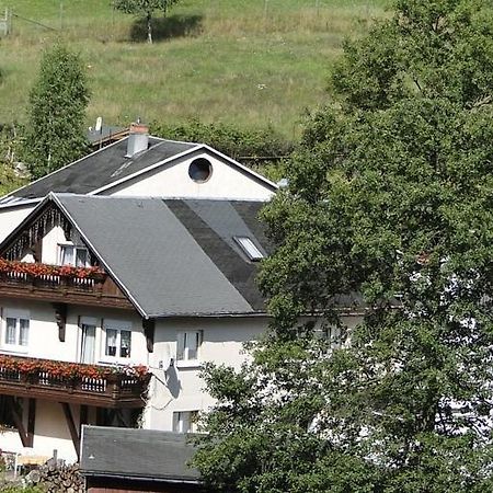 Fewo Angelika Dg Rohrbach  Екстериор снимка